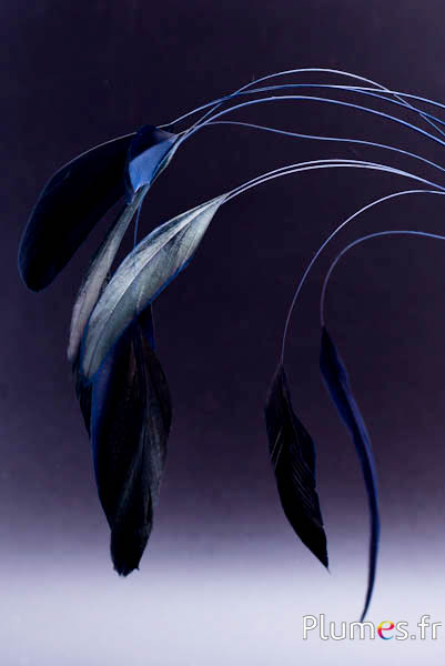 Coquetip - 28-32 cm - dunkelblau-schwarz